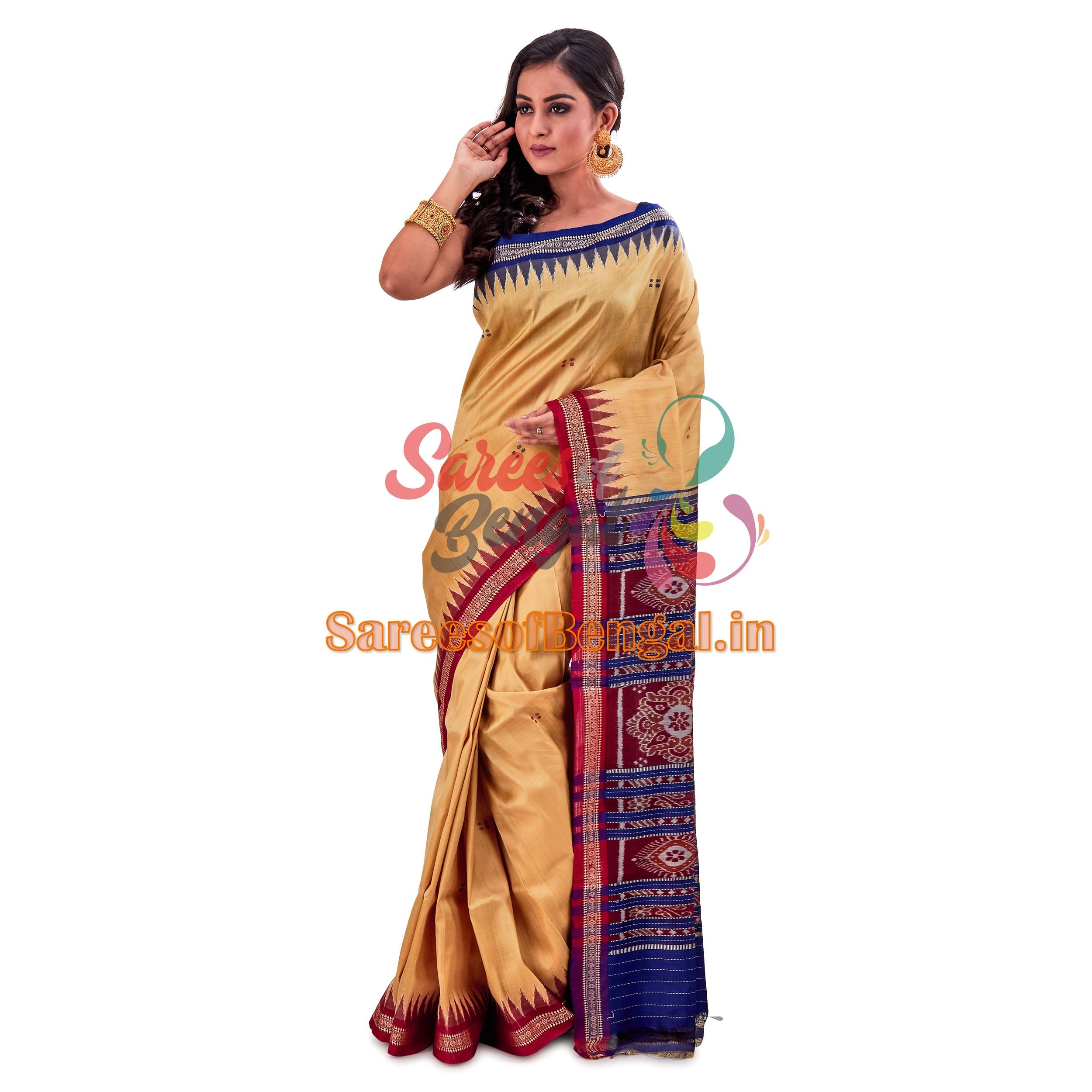 Ganga-Jamuna Border Ikkat Silk Saree